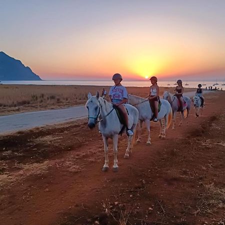קוסטונאצ'י L'Oasi Una Pineta Sul Mare מראה חיצוני תמונה