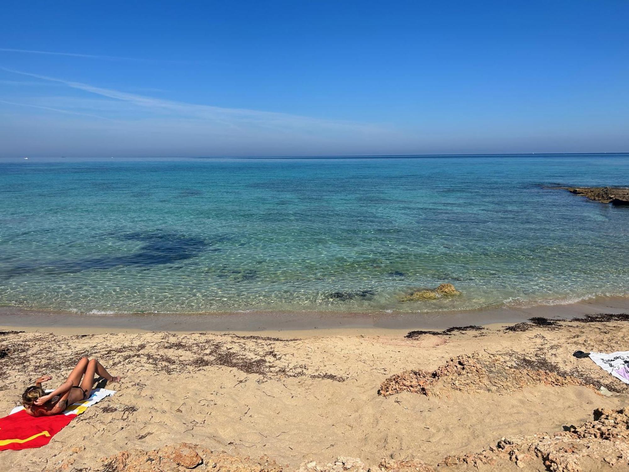 קוסטונאצ'י L'Oasi Una Pineta Sul Mare מראה חיצוני תמונה