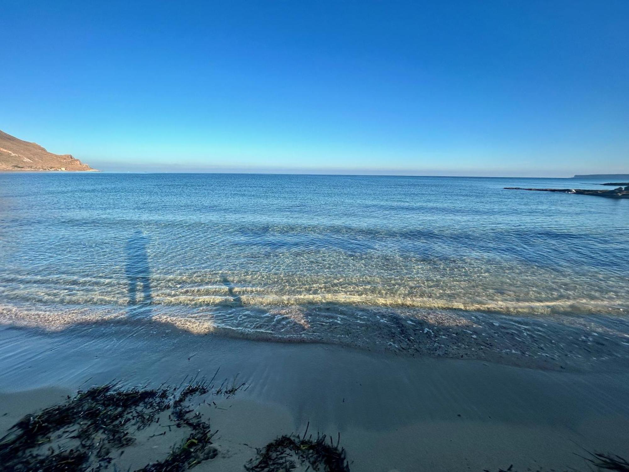 קוסטונאצ'י L'Oasi Una Pineta Sul Mare מראה חיצוני תמונה