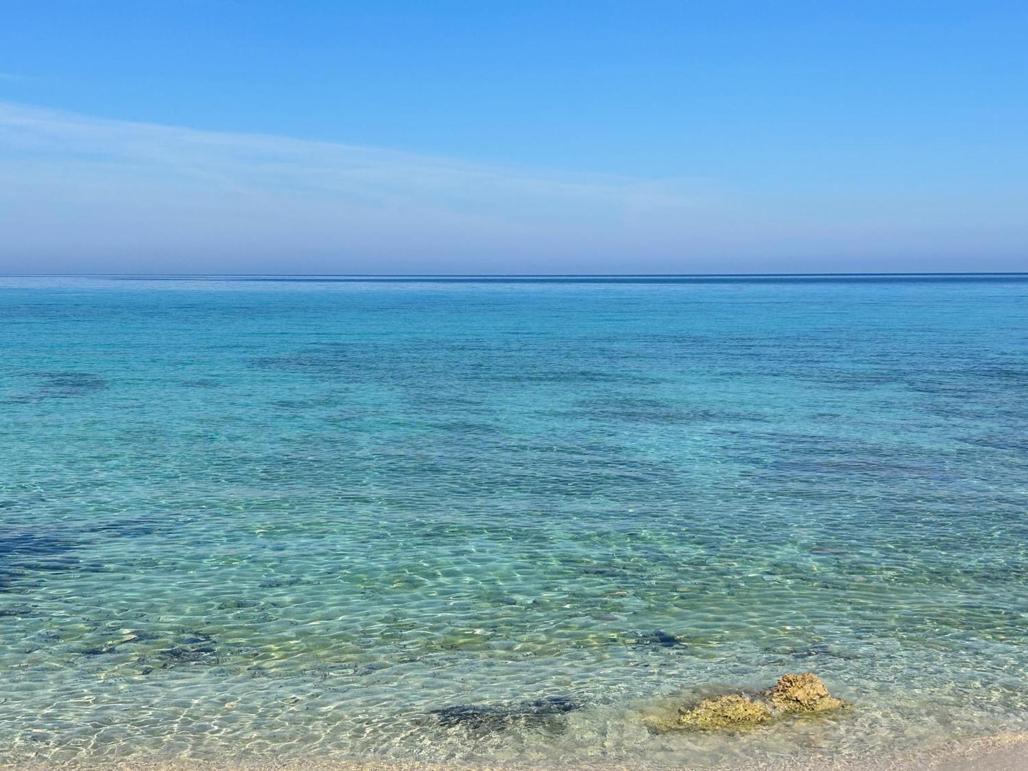 קוסטונאצ'י L'Oasi Una Pineta Sul Mare מראה חיצוני תמונה