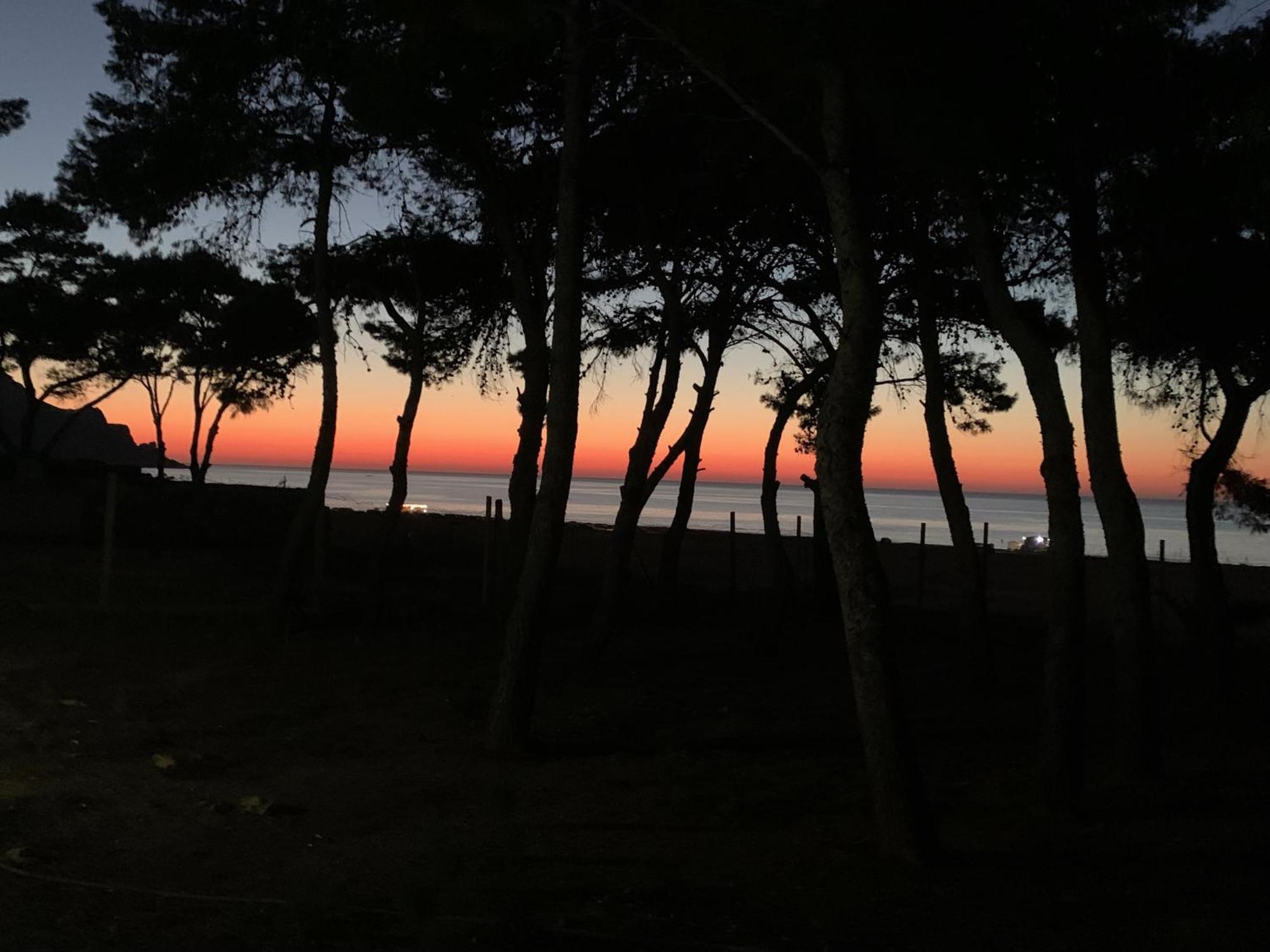 קוסטונאצ'י L'Oasi Una Pineta Sul Mare מראה חיצוני תמונה