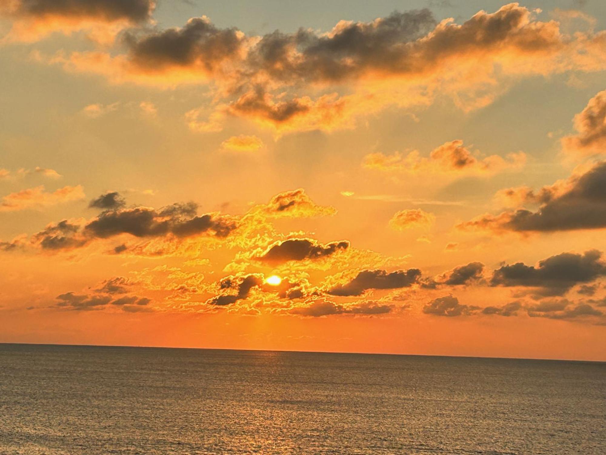 קוסטונאצ'י L'Oasi Una Pineta Sul Mare מראה חיצוני תמונה