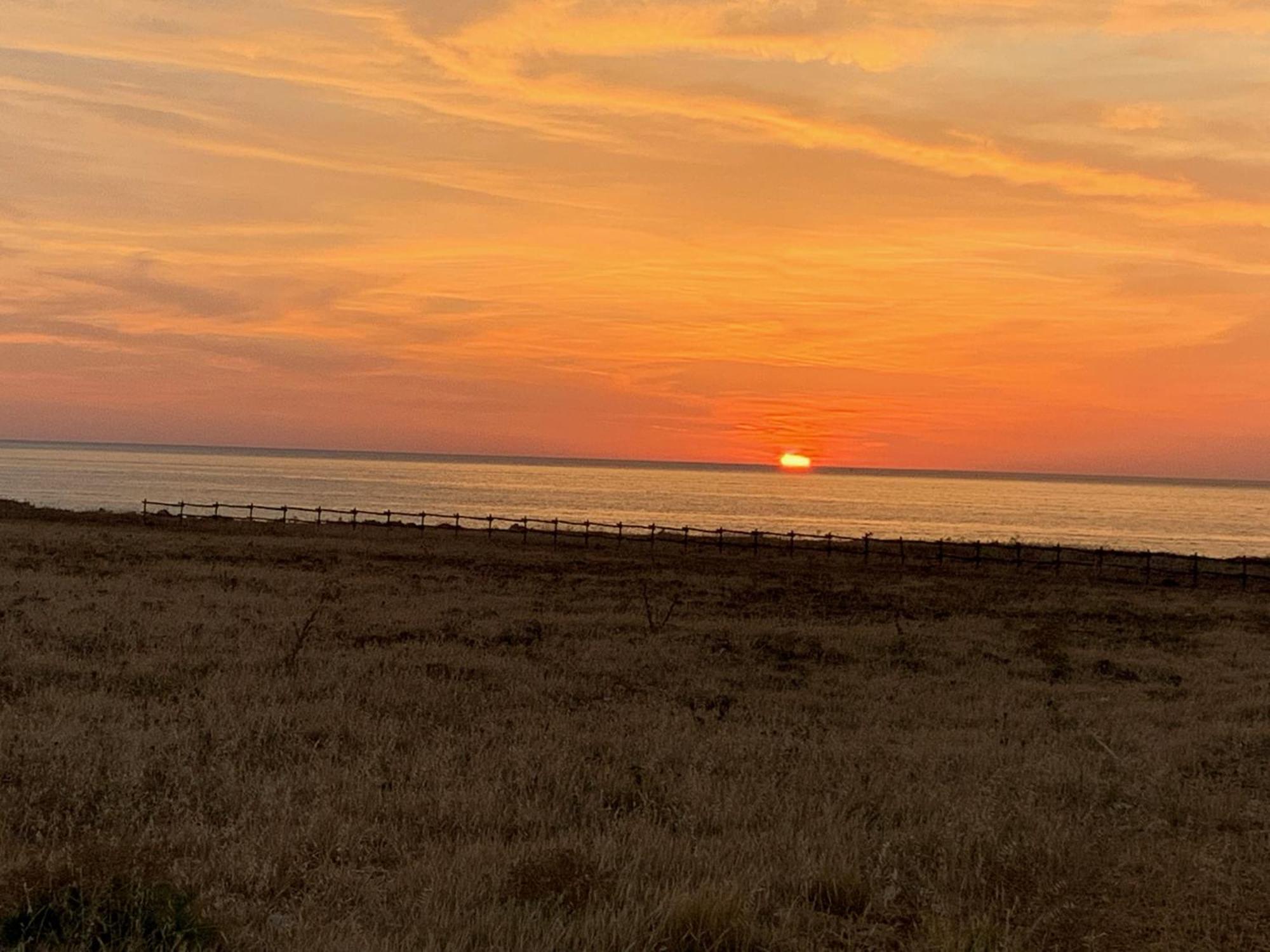 קוסטונאצ'י L'Oasi Una Pineta Sul Mare מראה חיצוני תמונה