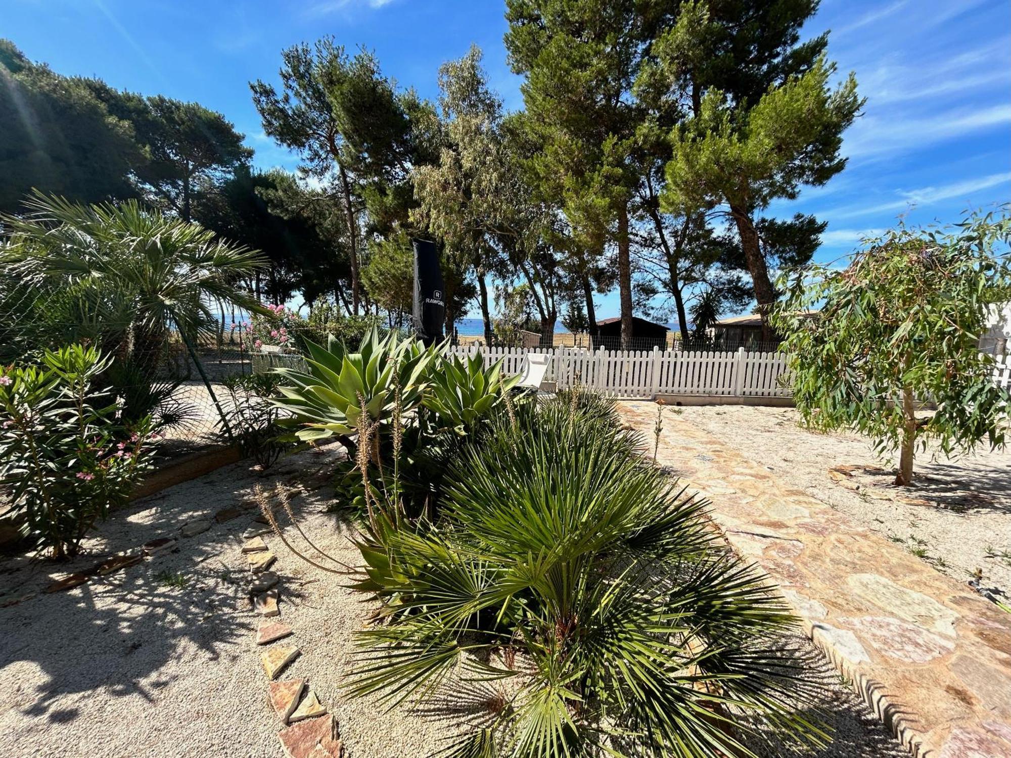 קוסטונאצ'י L'Oasi Una Pineta Sul Mare מראה חיצוני תמונה